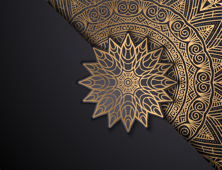 Black Festive Collection