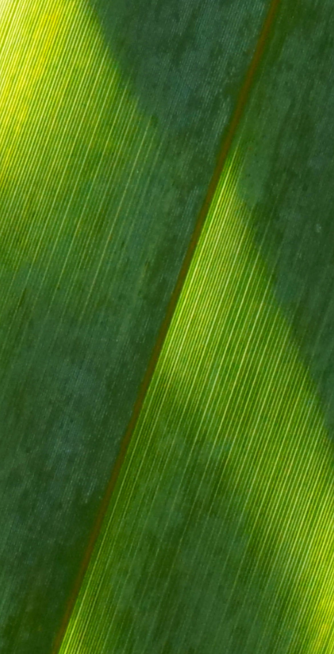 testing Cross Sell/Combo Offer