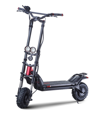 WOLF WARRIOR 11