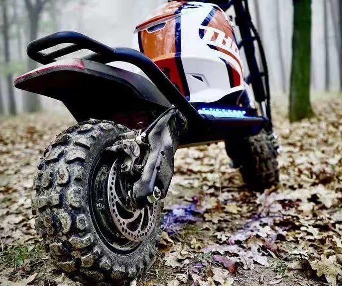 WOLF WARRIOR 11